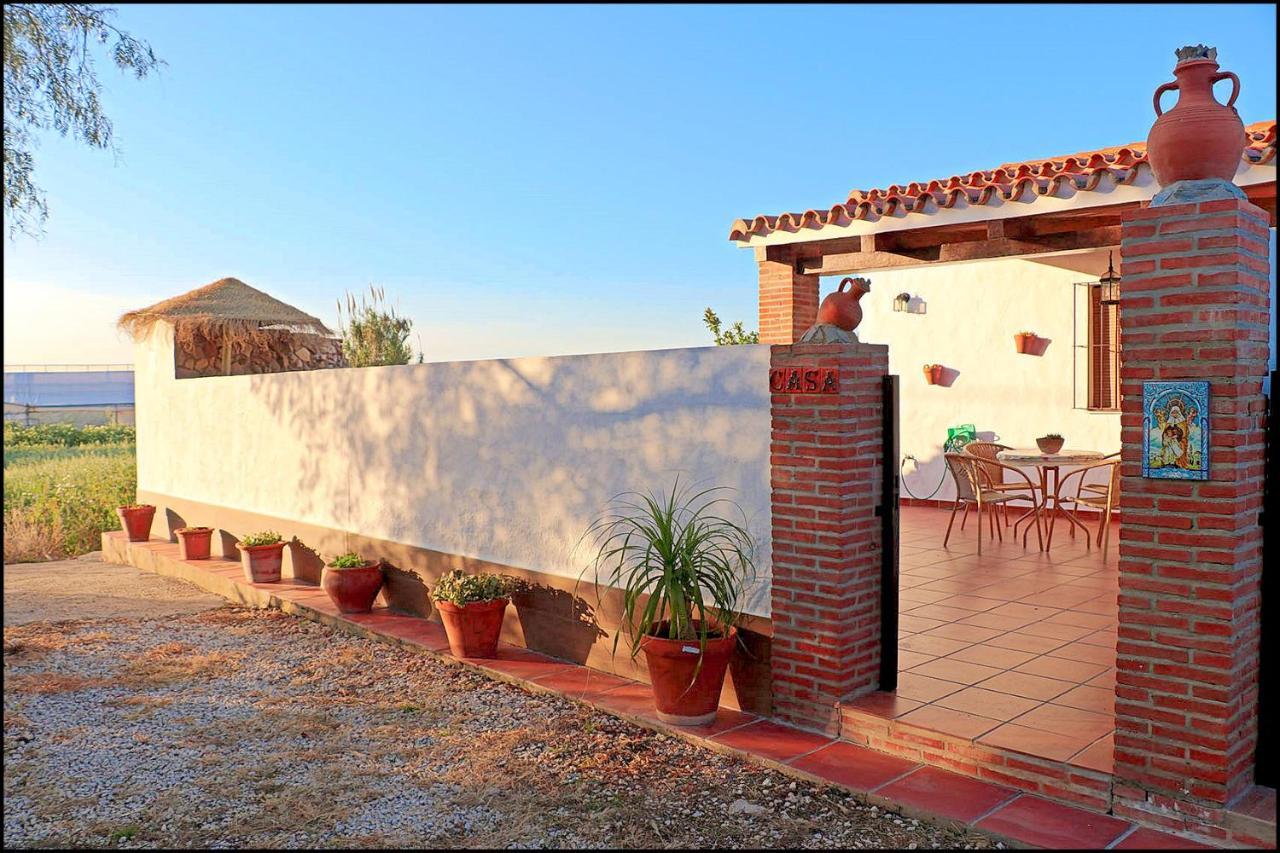 Chalet Acogedor Con Piscina Conil de la Frontera Kültér fotó